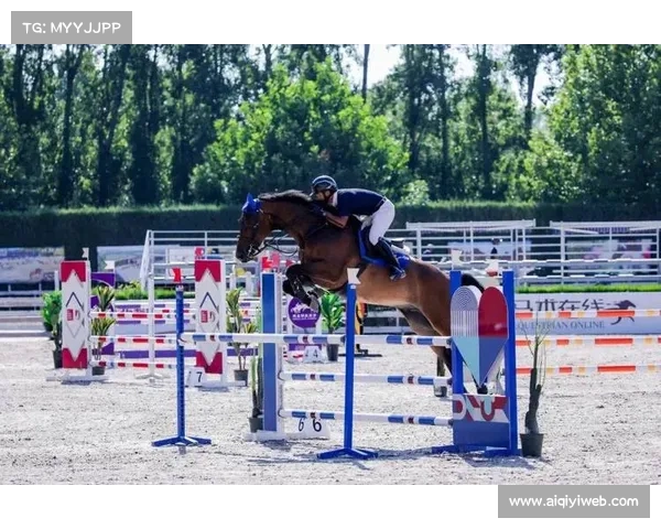 天星调良国际马术挑战赛九月开赛 国际骑手注册及马匹检疫细则正式发布